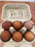 6 WELLSUMMER HATCHING EGGS BIDS FOR THE 1/2 DOZEN