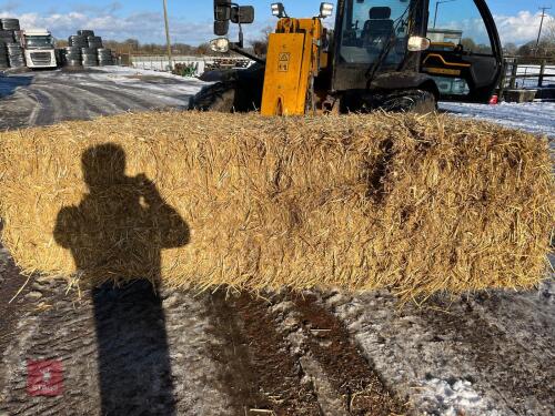 20 QUADRANT BALES OF 2024 WHEAT STRAW BIDS PER BALE