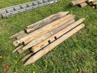 14 FENCE POSTS - 4