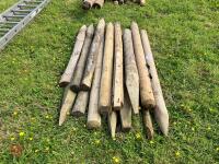 14 FENCE POSTS - 5
