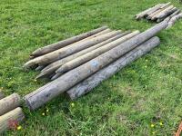 GATE POST & 17 WOODEN FENCE POSTS