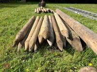 GATE POST & 17 WOODEN FENCE POSTS - 7