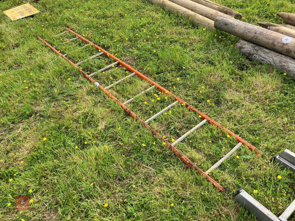 STEEL LADDER