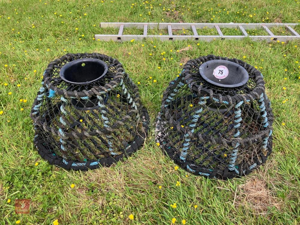 2 LOBSTER/CRAB POTS