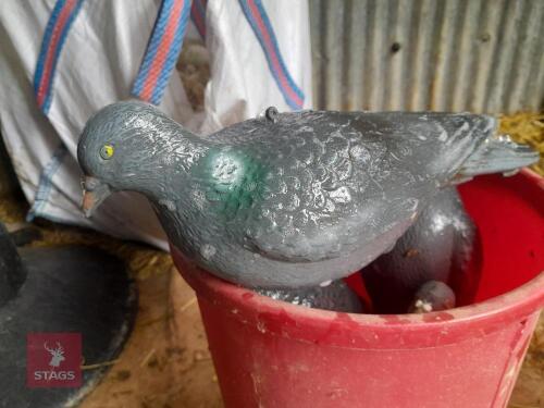 SELECTION OF DECOYS