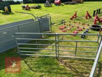 8' W.M IRONWORKS 6 BAR RACE HURDLES