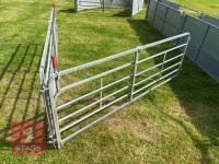 8' W.M IRONWORKS 6 BAR RACE HURDLES - 4