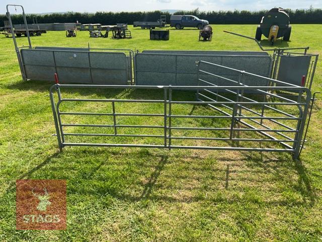 10' W.M IRONWORKS 6 BAR RACE HURDLE