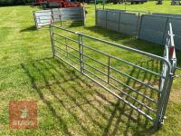 10' W.M IRONWORKS 6 BAR RACE HURDLE - 2