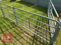 10' W.M IRONWORKS 6 BAR RACE HURDLE - 3