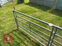 10' W.M IRONWORKS 6 BAR RACE HURDLE - 4