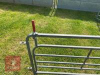 10' W.M IRONWORKS 6 BAR RACE HURDLE - 5