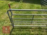 10' W.M IRONWORKS 6 BAR RACE HURDLE - 6