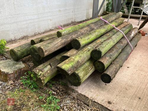 20 USED WOODEN STAKES
