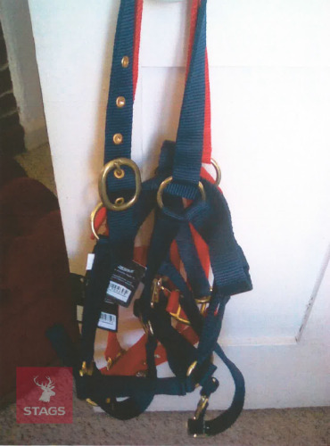 3 PONY HALTERS