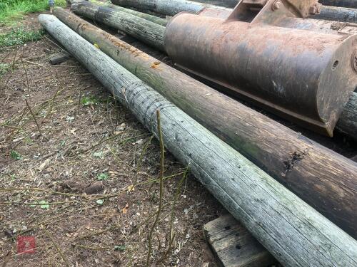 2 TELEGRAPH POLES (4)