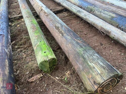 2 TELEGRAPH POLES (2)