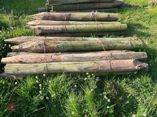 11 x 5' 4'' STRAINING POSTS (3)
