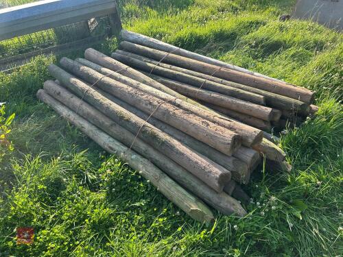 40 X 8' STRAINING POSTS