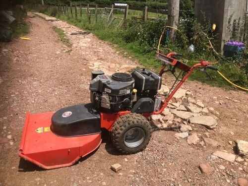 DR PEDESTRIAN MOWER/TOPPER