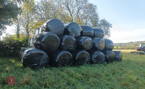 50 ROUND BALES OF 2024 SILAGE/HAYLAGE BIDS PER BALE