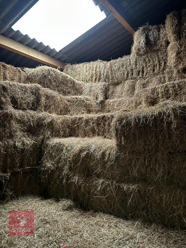 25 CONVENTIONAL BALES OF 2024 MEADOW HAY BIDS FOR THE GROUP