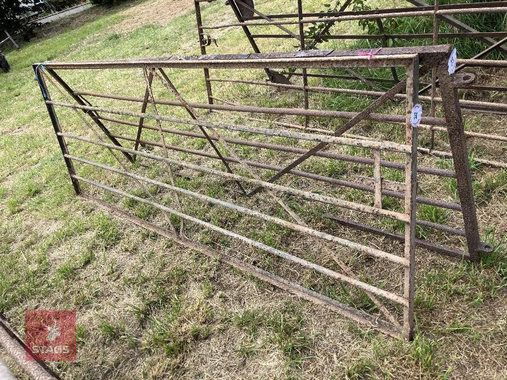 10' WROUGHT IRON GATE