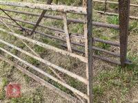 10' WROUGHT IRON GATE - 2