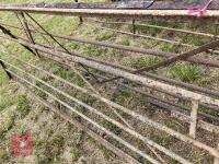 10' WROUGHT IRON GATE - 5