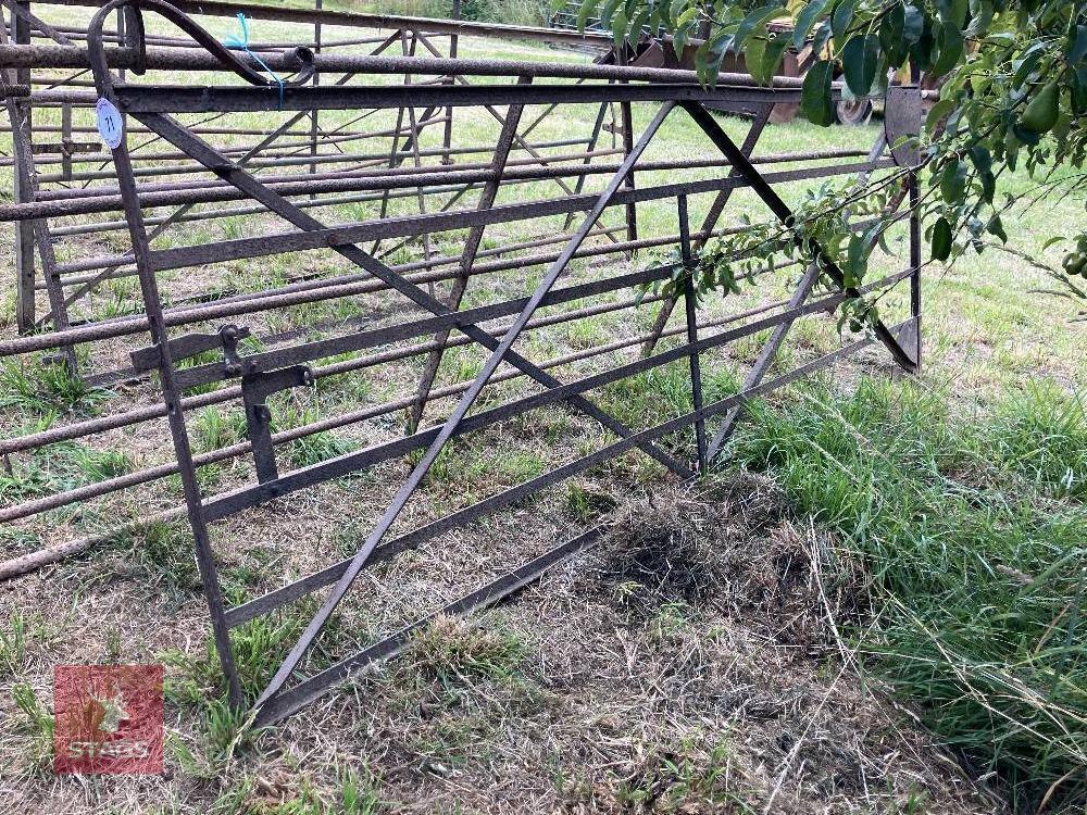 10' WROUGHT IRON GATE