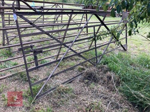 10' WROUGHT IRON GATE