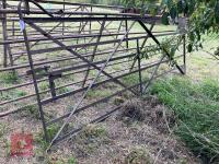 10' WROUGHT IRON GATE
