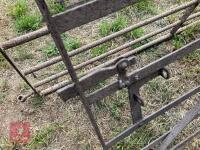 10' WROUGHT IRON GATE - 3