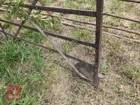 10' WROUGHT IRON GATE - 7