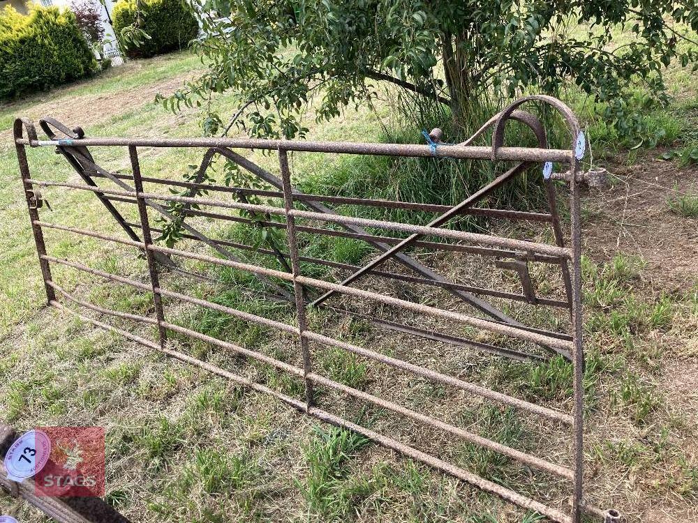 12' WROUGHT IRON GATE