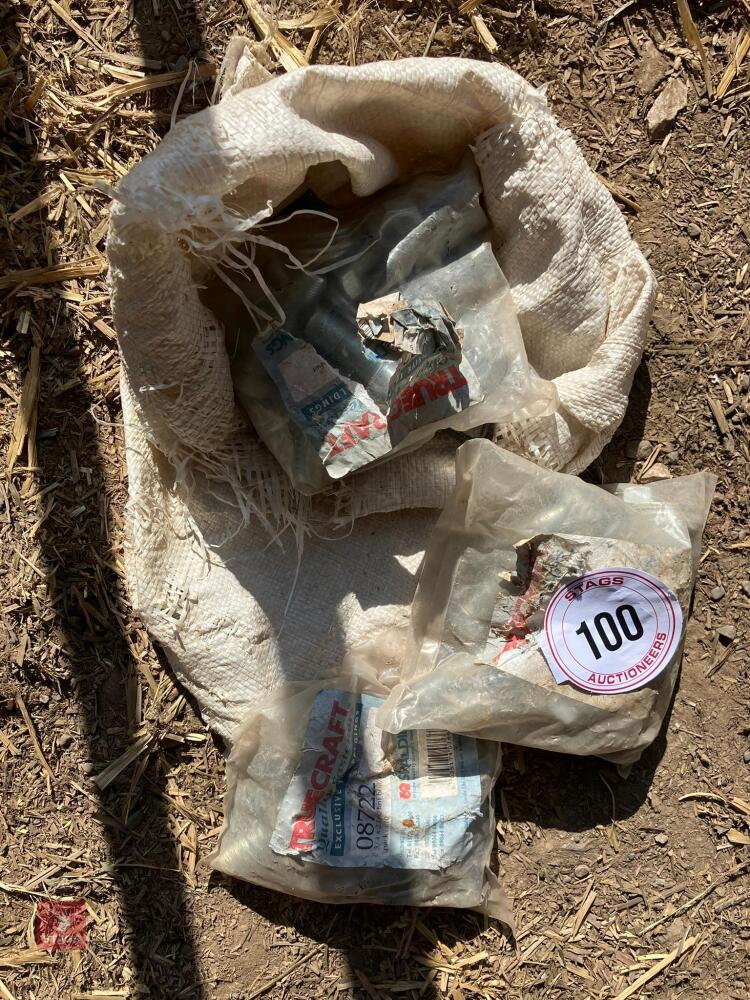 3 BAGS OF BOLTS