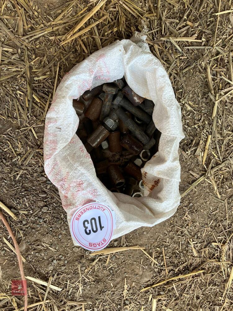 BAG OF HEDGETRIMMER BOLTS