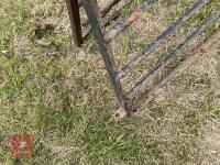 10' WROUGHT IRON GATE - 7