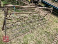 10' WROUGHT IRON GATE - 8