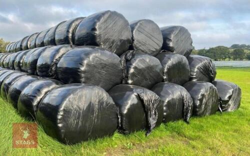 100 ROUND BALES OF 2025 HAYLAGE BIDS PER BALE