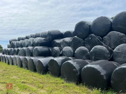 50 ROUND BALES OF 2024 HAYLAGE BIDS PER BALE