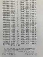 25 X 2T SUFFOLK X NORTH COUNTRY MULES BIDS PER LIFE - 4