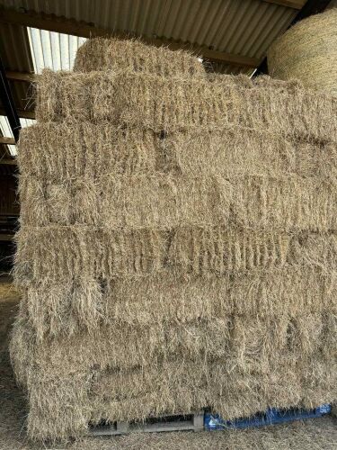 50 CONVENTIONAL BALES OF MEADOW HAY