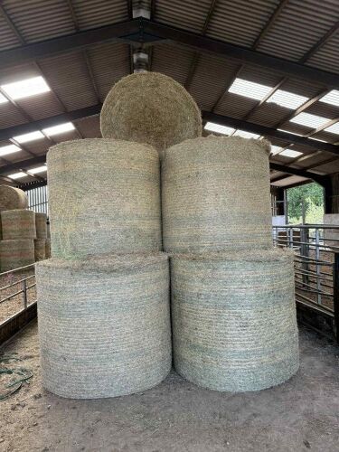 50 ROUND BALES OF ORGANIC HAY
