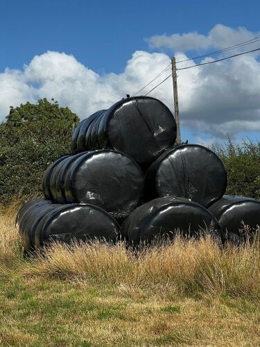 70 ORGANIC ROUND BALES OF 2025 HAYLAGE BIDS PER BALE