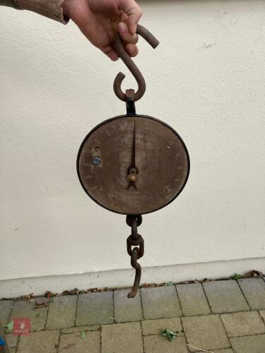 SET OF SALTER WEIGHT SCALES