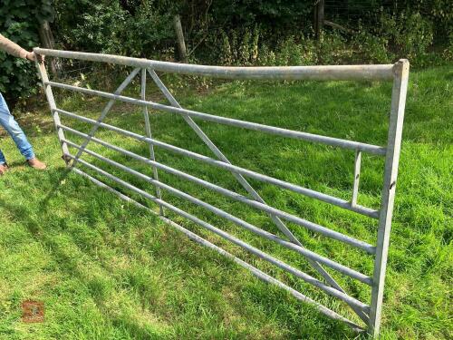 GALVANISED 10' GATE