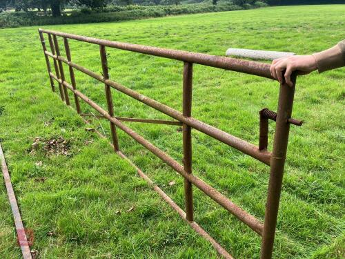 METAL 15' HEAVY DUTY YARD GATE