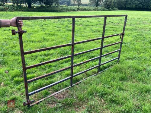 METAL 7' 7'' GATE