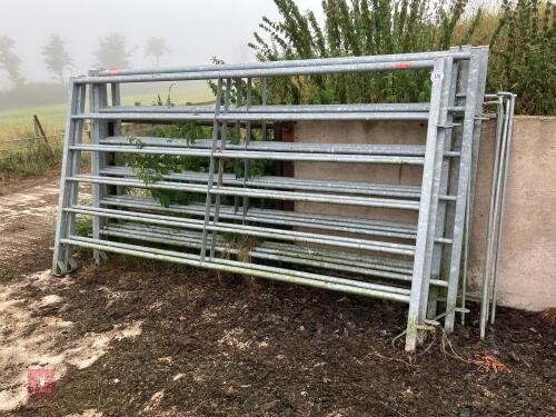 6 RITCHIE 3M CATTLE HURDLES (174)